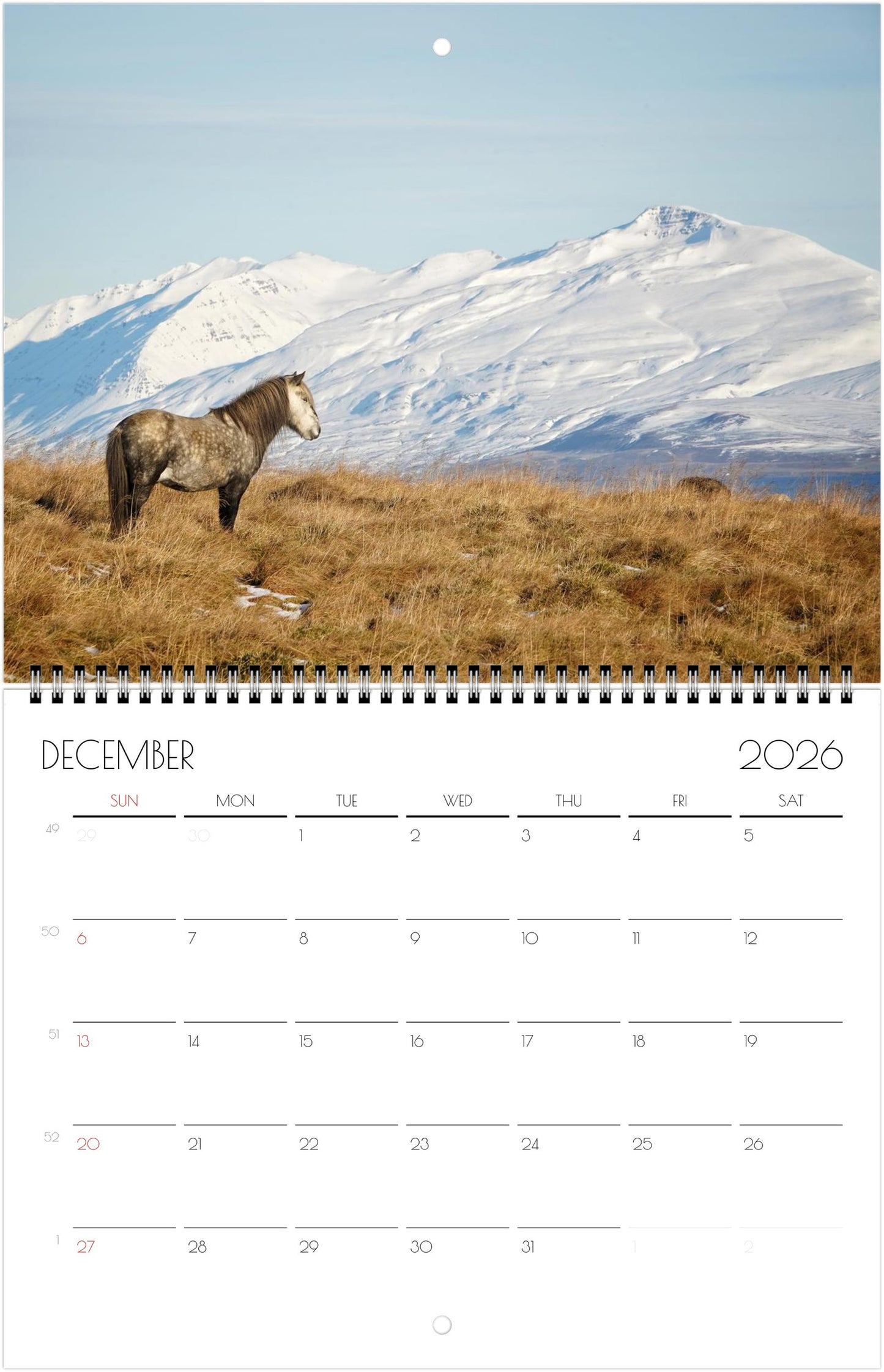 Icelandic Horses - Calendars 2026 (US & CA)