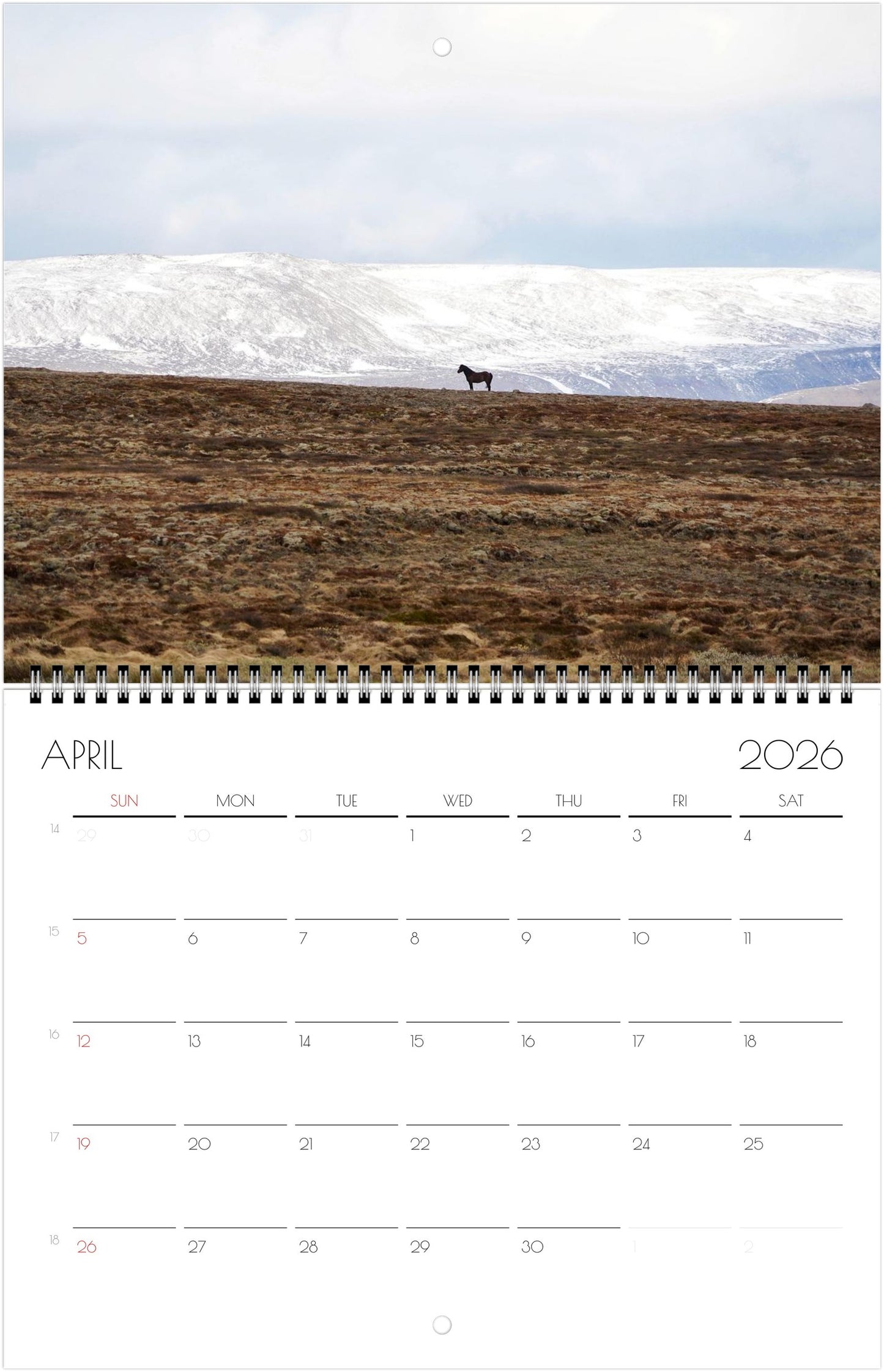 Icelandic Horses - Calendars 2026 (US & CA)