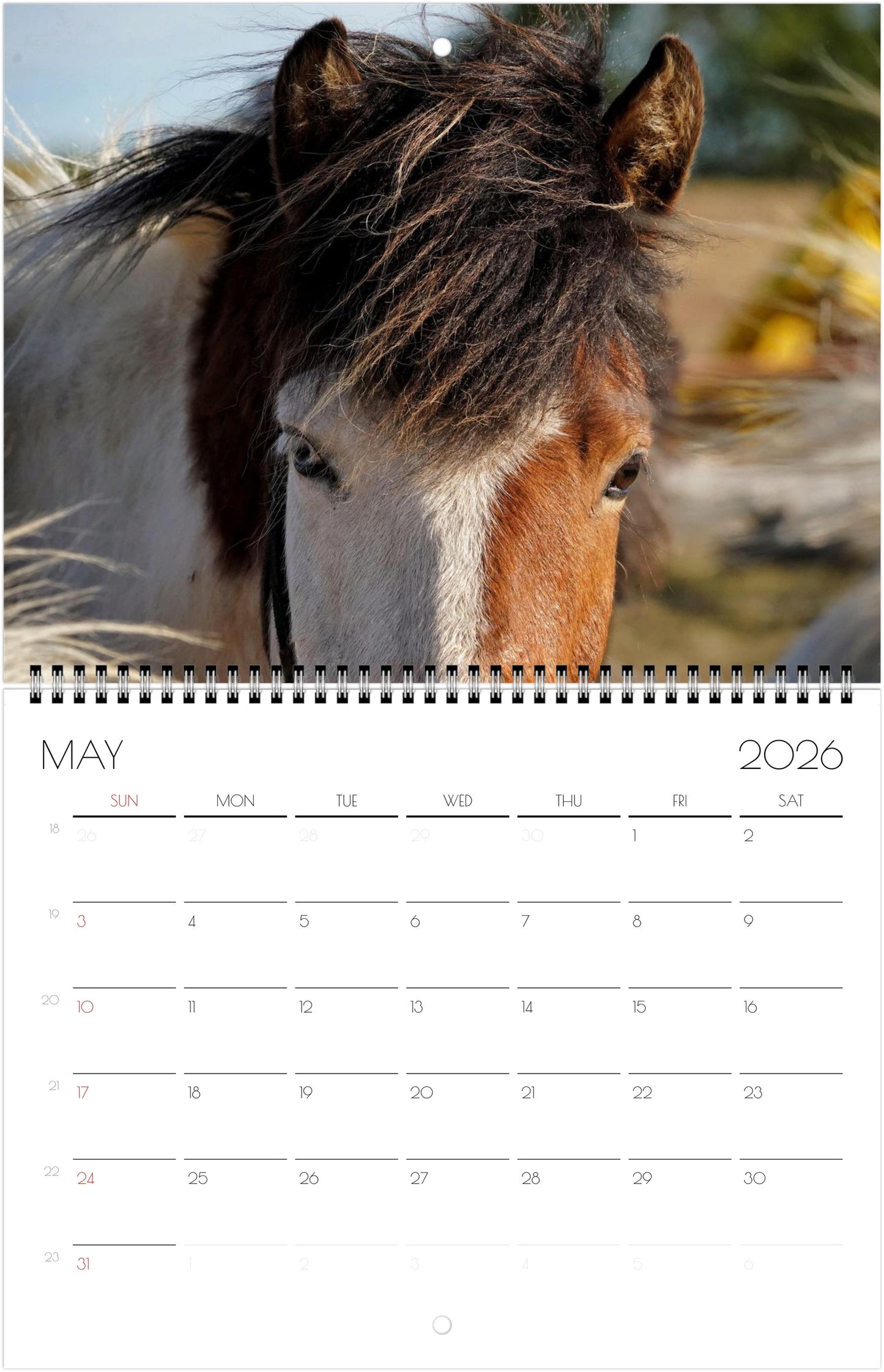 Icelandic Horses - Calendars 2026 (US & CA)