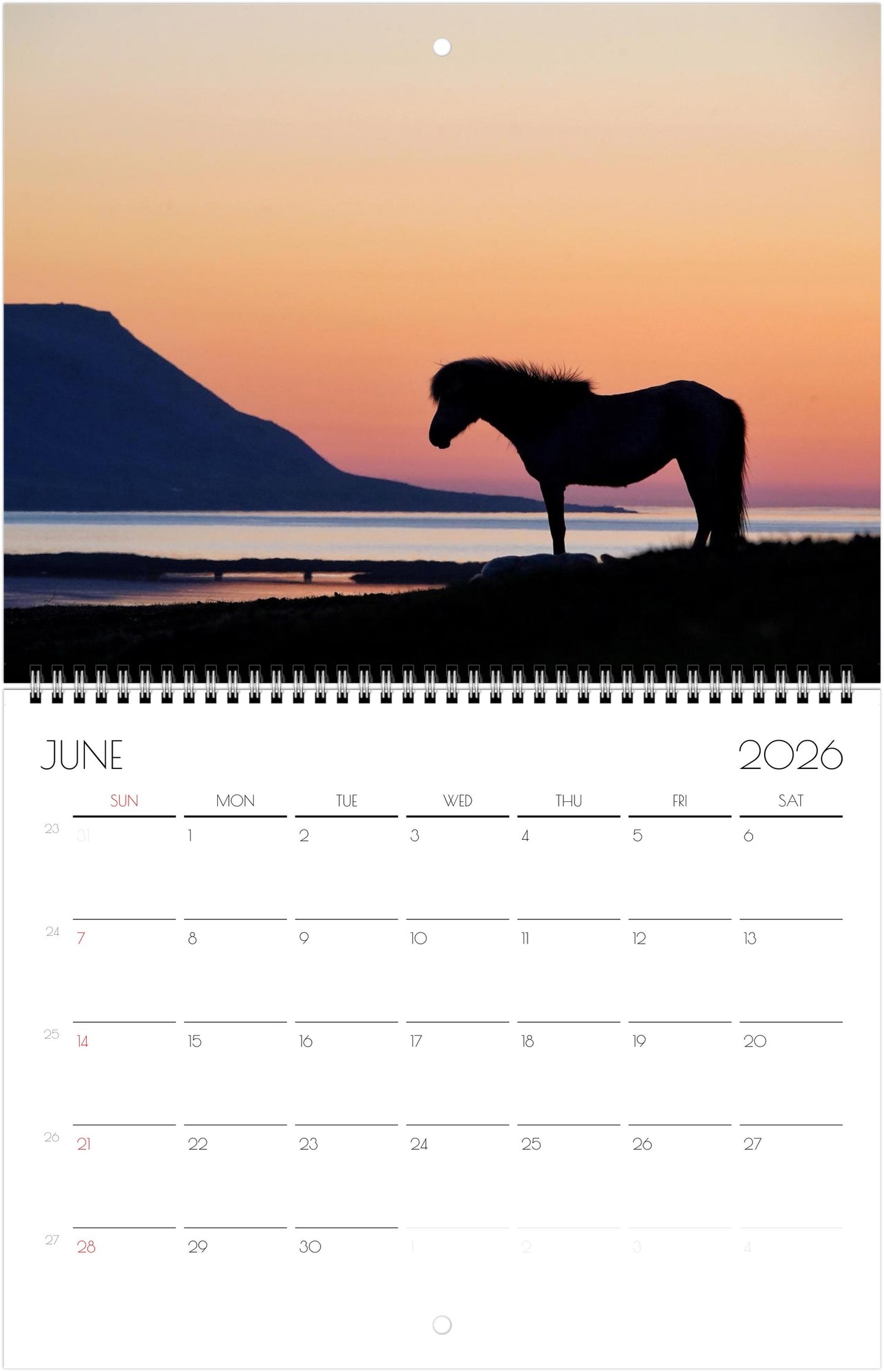 Icelandic Horses - Calendars 2026 (US & CA)