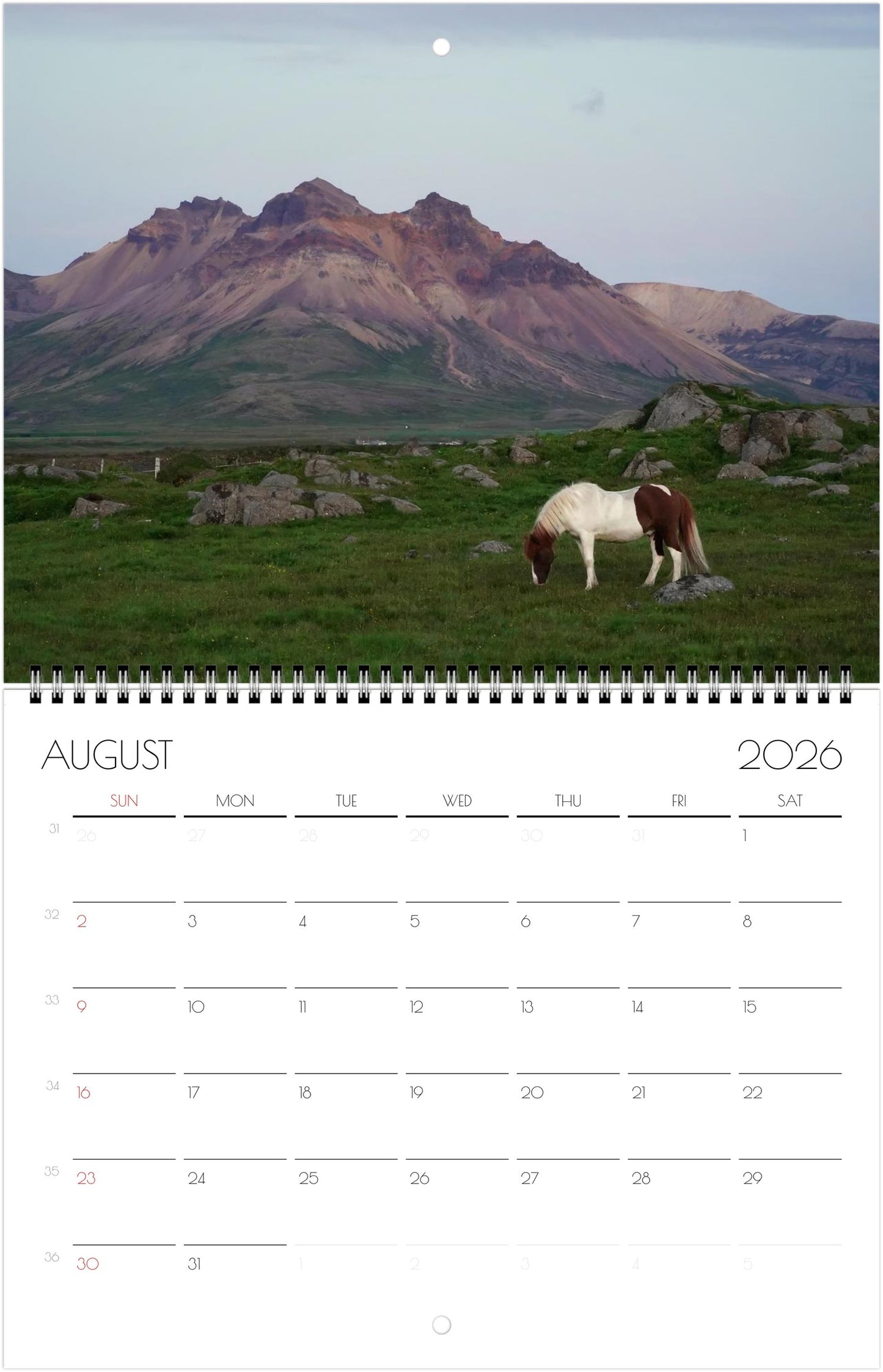 Icelandic Horses - Calendars 2026 (US & CA)